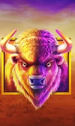 Buffalo King